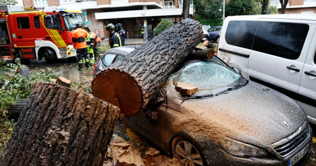 Tempesta Ciaràn – A Madrid 20enne colpita da un albero, un morto e due feriti in Belgio. In Francia al buio oltre un milione di case. Disagi in Inghilterra con venti fino a 150km/h