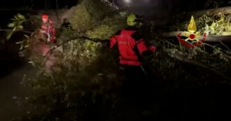 Copertina di Nubifragio in Veneto, si cerca un vigile del fuoco disperso in un canale del Bellunese: ricerche notturne con 50 soccorritori – Video