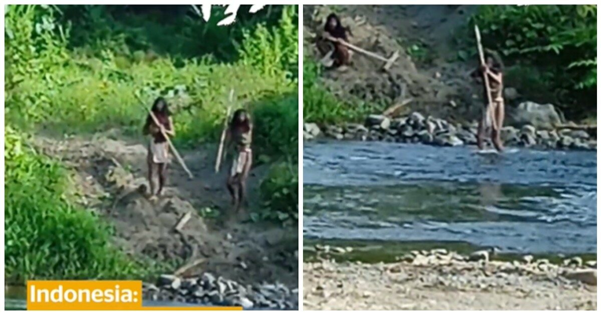 Affrontano un bulldozer con arco e machete per difendere il loro territorio: la storia degli Hongana Manyawa (VIDEO)