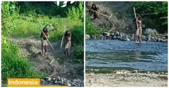 Copertina di Affrontano un bulldozer con arco e machete per difendere il loro territorio: la storia degli Hongana Manyawa (VIDEO)