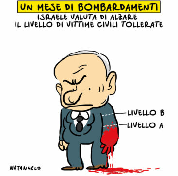 Copertina di La vignetta di Nat