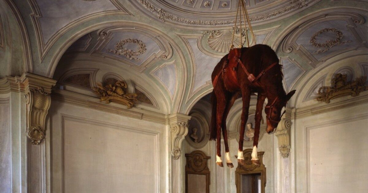 Si scatena (ancora) il dibattito social sul cavallo imbalsamato di Cattelan: “Ne simboleggia solo la morte”, “No, fosse un uomo non lo esibireste”