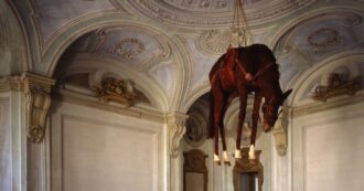Copertina di Si scatena (ancora) il dibattito social sul cavallo imbalsamato di Cattelan: “Ne simboleggia solo la morte”, “No, fosse un uomo non lo esibireste”