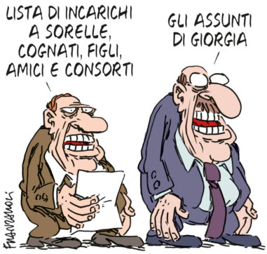 Copertina di La vignetta di Franzaroli