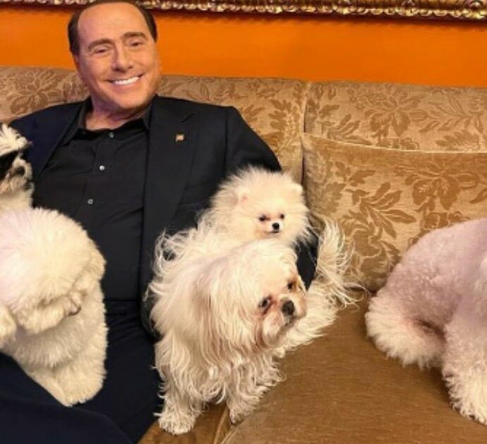 Ecco che fine ha fatto Dudù, il famoso cagnolino di Berlusconi (che si trova insieme al cagnetto Peter)