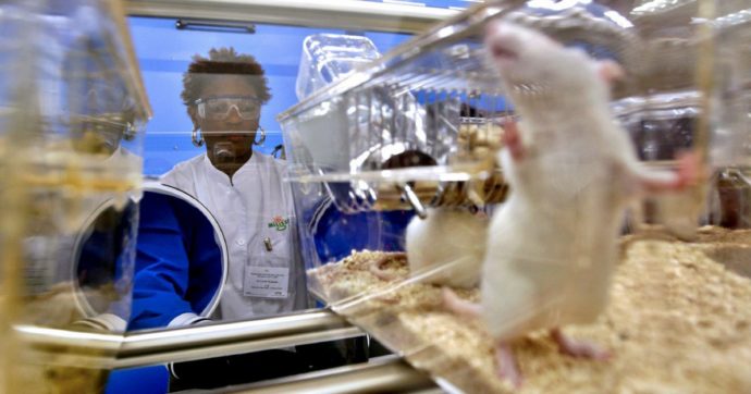 Sicurezza alimentare, l’Efsa lancia la app che riduce gli esperimenti sugli animali