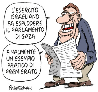 Copertina di La vignetta di Franzaroli