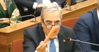 Copertina di Forza Italia, Gasparri diventa capogruppo per fuggire da Report