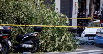 Roma,  donna muore schiacciata da un albero