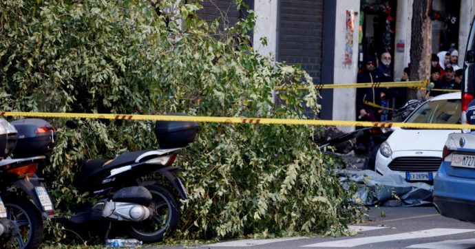 Roma,  donna muore schiacciata da un albero