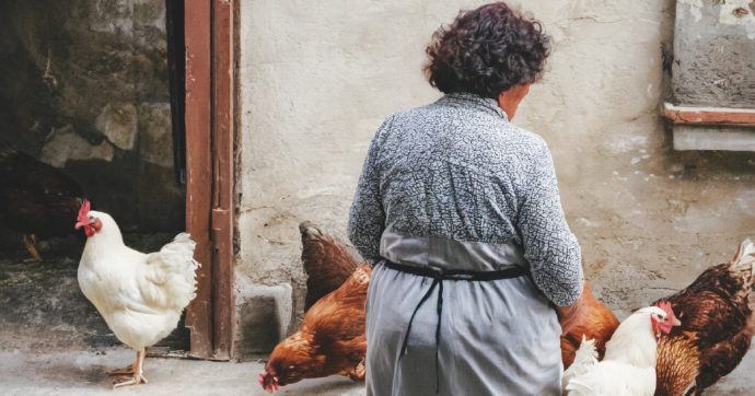 I mostri della Bassa: bimbi, galline, eroinomani e nonni