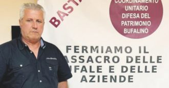 Copertina di Brucellosi, “Noi allevatori in sciopero della fame: abbattuti tutti gli animali, pur se sani”