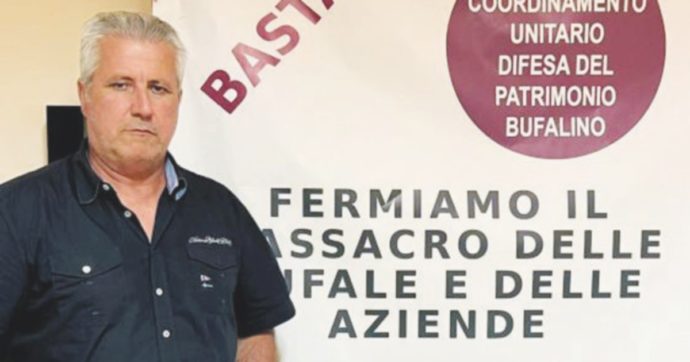 Brucellosi, “Noi allevatori in sciopero della fame: abbattuti tutti gli animali, pur se sani”