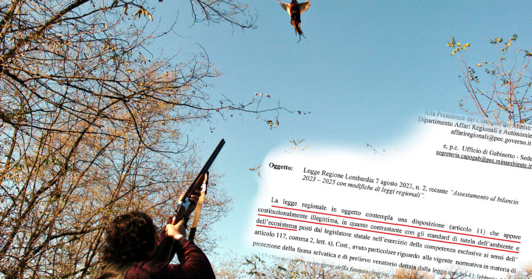 Lombardia, i dati confermano ‘l’intensa attività di bracconaggio’ ma Lega e FdI fanno l’ennesimo regalo ai cacciatori. M5s: ‘Incostituzionale’