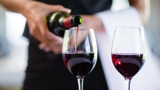 Vino e italiani, un amore che cambia: aumentano i consumatori tra i 18-34 anni, il 96,5% preferisce il made in Italy
