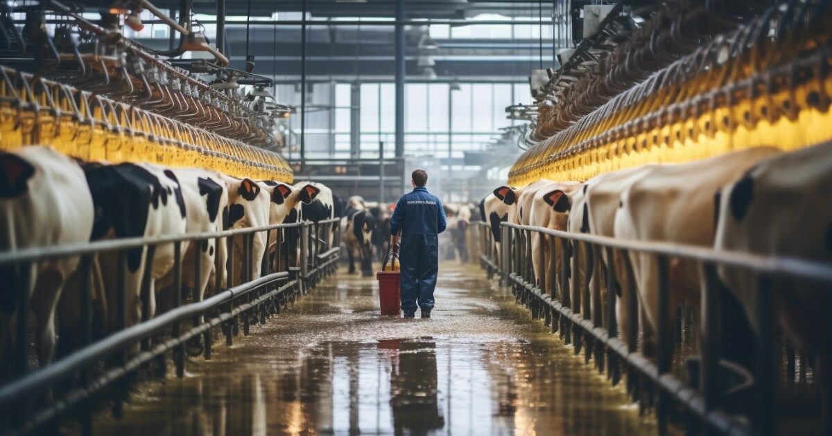 L’ultima contraddizione della Cop28: dedica una giornata al cibo sostenibile, ma gli eventi sono sponsorizzati dalle multinazionali del settore