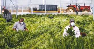 Copertina di Migranti. Pagano per lavori che poi non ci sono:  i truffati del dl Flussi