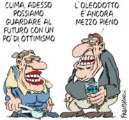 Copertina di La vignetta di Franzaroli