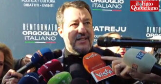 Copertina di L’imbarazzo di Salvini sul ricorso di Musk alla maternità surrogata: “Non mi occupo dei figli degli altri”