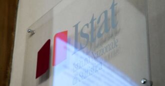 Copertina di Istat, in agitazione i lavoratori in appalto che fanno le interviste per l’aggiornamento dei dati: “Garantire continuità occupazionale”