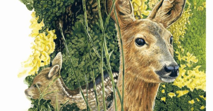 Copertina di Salvate il soldato Bambi. Un paladino antinazista