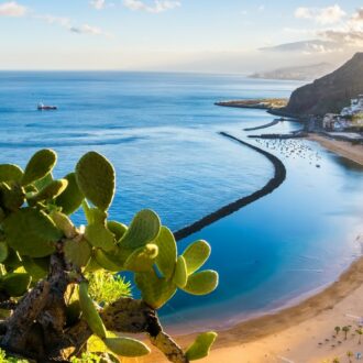 Copertina di Gli affari dei Casalesi tra Dubai e Tenerife: gestioni immobiliari, bar e società di noleggio auto