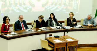 Copertina di Violenza sulle donne, 40 milioni dalle opposizioni per nuovi centri, sgravi e formazione