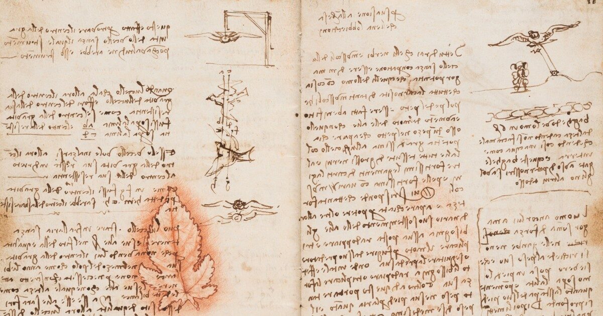 Mostre di Natale | Leonardo da Vinci, cos’è il genio? Un legame stretto tra bellezza e invenzione: disegni e documenti in mostra a Livorno