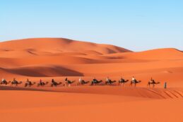 Copertina di Lasciati guidare nella meraviglia