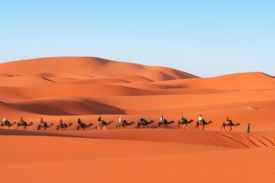 Lasciati guidare nella meraviglia