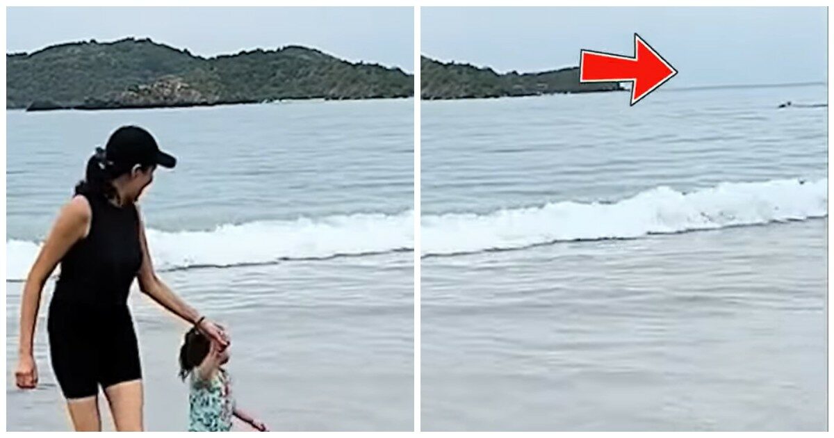 Un predatore marino lo azzanna mentre fa il bagno in mare: la disperata richiesta d’aiuto immortalata nel video di un turista