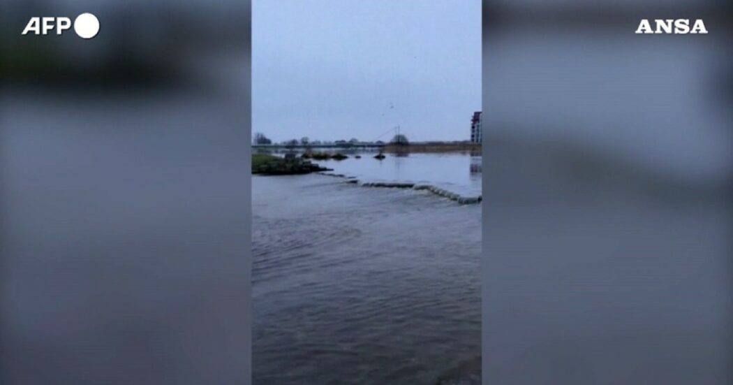 Allagamenti nei Paesi Bassi dopo le forti piogge: le immagini da un parco nel comune di Hardenberg – Video
