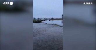 Copertina di Allagamenti nei Paesi Bassi dopo le forti piogge: le immagini da un parco nel comune di Hardenberg – Video