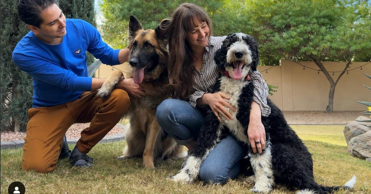 “Abbiamo trovato la casa distrutta, la dogsitter ubriaca e i nostri cani Bernardo e Goose chiusi in una gabbia”: la scoperta choc al rientro dalle vacanze