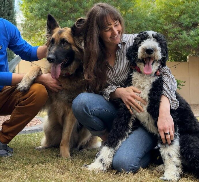 “Abbiamo trovato la casa distrutta, la dogsitter ubriaca e i nostri cani Bernardo e Goose chiusi in una gabbia”: la scoperta choc al rientro dalle vacanze