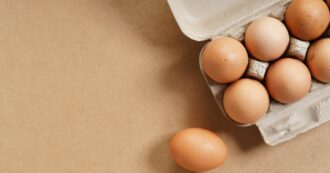 Copertina di Allarme salmonella nelle uova dopo la scoperta di un focolaio in un allevamento nel Salento: ecco i lotti richiamati dal Ministero della Salute