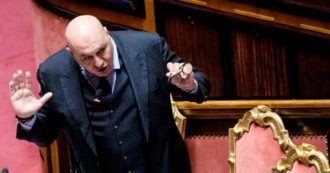 Copertina di Armi, sì alla proroga. Il Pd diviso e i dubbi di Crosetto su Kiev