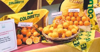 Copertina di Ristorante di Montecitorio, speso già più di 1 milione di euro per i prodotti Coldiretti (senza gara)