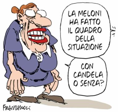 Copertina di La vignetta di Franzaroli