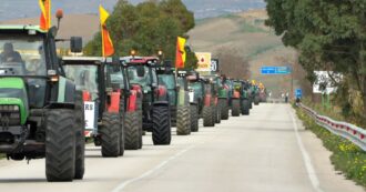 Copertina di Sicilia, la protesta degli agricoltori: decine di trattori in marcia lungo la Palermo-Sciacca contro la “morte del settore”