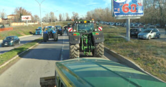 Copertina di Protesta degli agricoltori a bordo di centinaia di trattori: i mezzi entrano a Bologna – Video