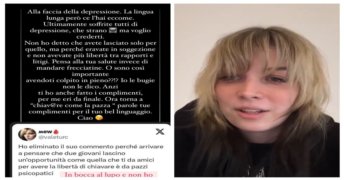 “Ipotizzare che due ragazzi abbiano lasciato Amici per ch****** è da pazzi”, “Complimenti per il linguaggio”: Mew smentisce quanto ipotizzato sui social