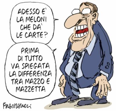 Copertina di La vignetta di Franzaroli