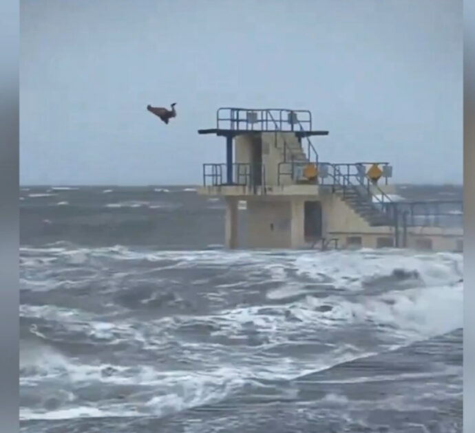 Infuria la tempesta Isha ma lui si tuffa in mare da una torre: il video da brividi al largo della costa di Galway