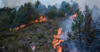 Copertina di Stato di calamità naturale per incendi in Colombia. Bogotà divorata dalle fiamme e centinaia di paesi a rischio a causa di El Niño