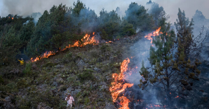 Stato di calamità naturale per incendi in Colombia. Bogotà divorata dalle fiamme e centinaia di paesi a rischio a causa di El Niño