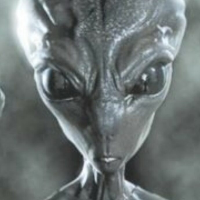 “Abbiamo visto gli Ufo. Un alieno nero ha inseguito mio fratello in camera da letto”