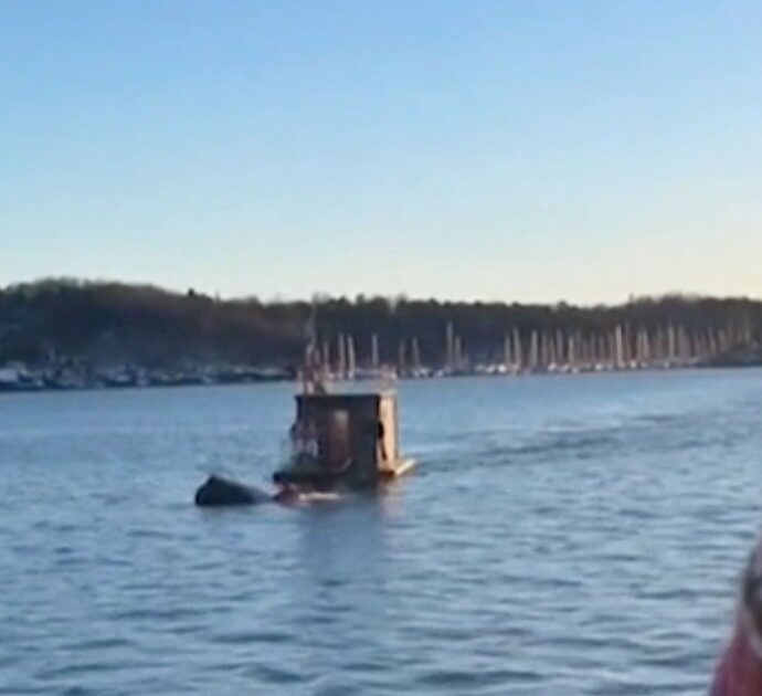 Finiscono nelle acque del fiordo di Oslo con la loro Tesla: salvati da una sauna galleggiante