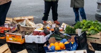 Copertina di Lo spreco alimentare domestico è aumentato dell’8% in un anno: ogni settimana buttato via mezzo chilo di cibo a testa