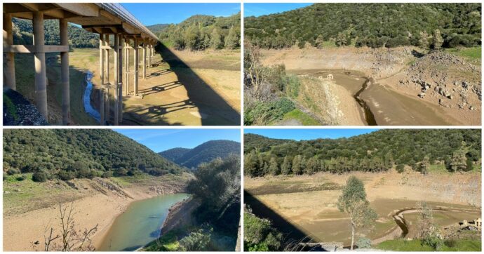 Caldo e poche piogge: in Sardegna la mancanza d’acqua svuota gli invasi. ‘Serve programmare, la politica pensi alla crisi idrica’
